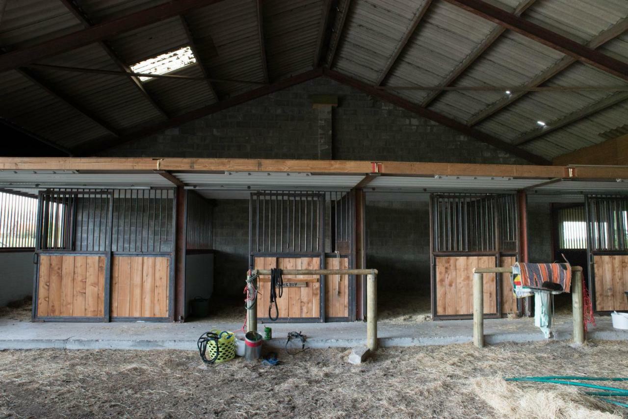 Boeren Biezen Bed Landelijk Villa Dış mekan fotoğraf