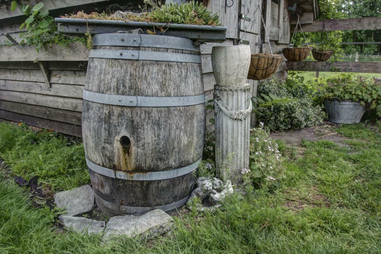 Boeren Biezen Bed Landelijk Villa Dış mekan fotoğraf