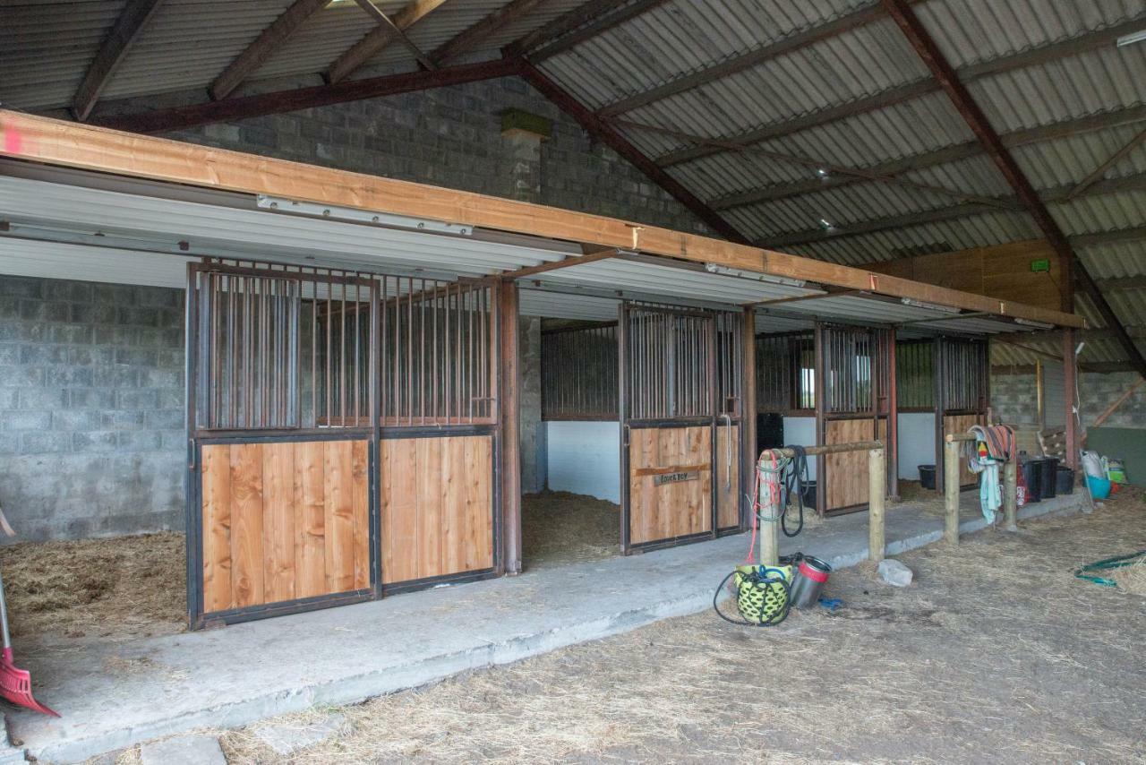 Boeren Biezen Bed Landelijk Villa Dış mekan fotoğraf