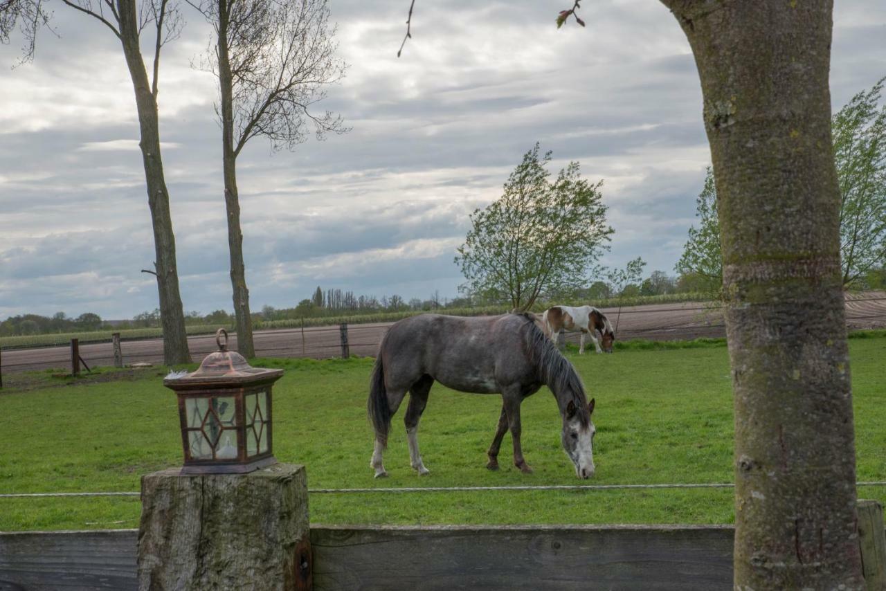 Boeren Biezen Bed Landelijk Villa Dış mekan fotoğraf