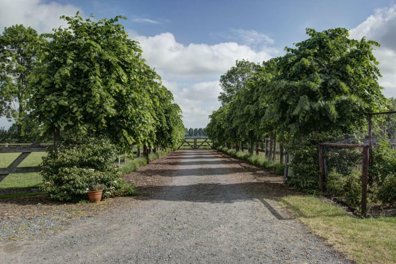 Boeren Biezen Bed Landelijk Villa Dış mekan fotoğraf