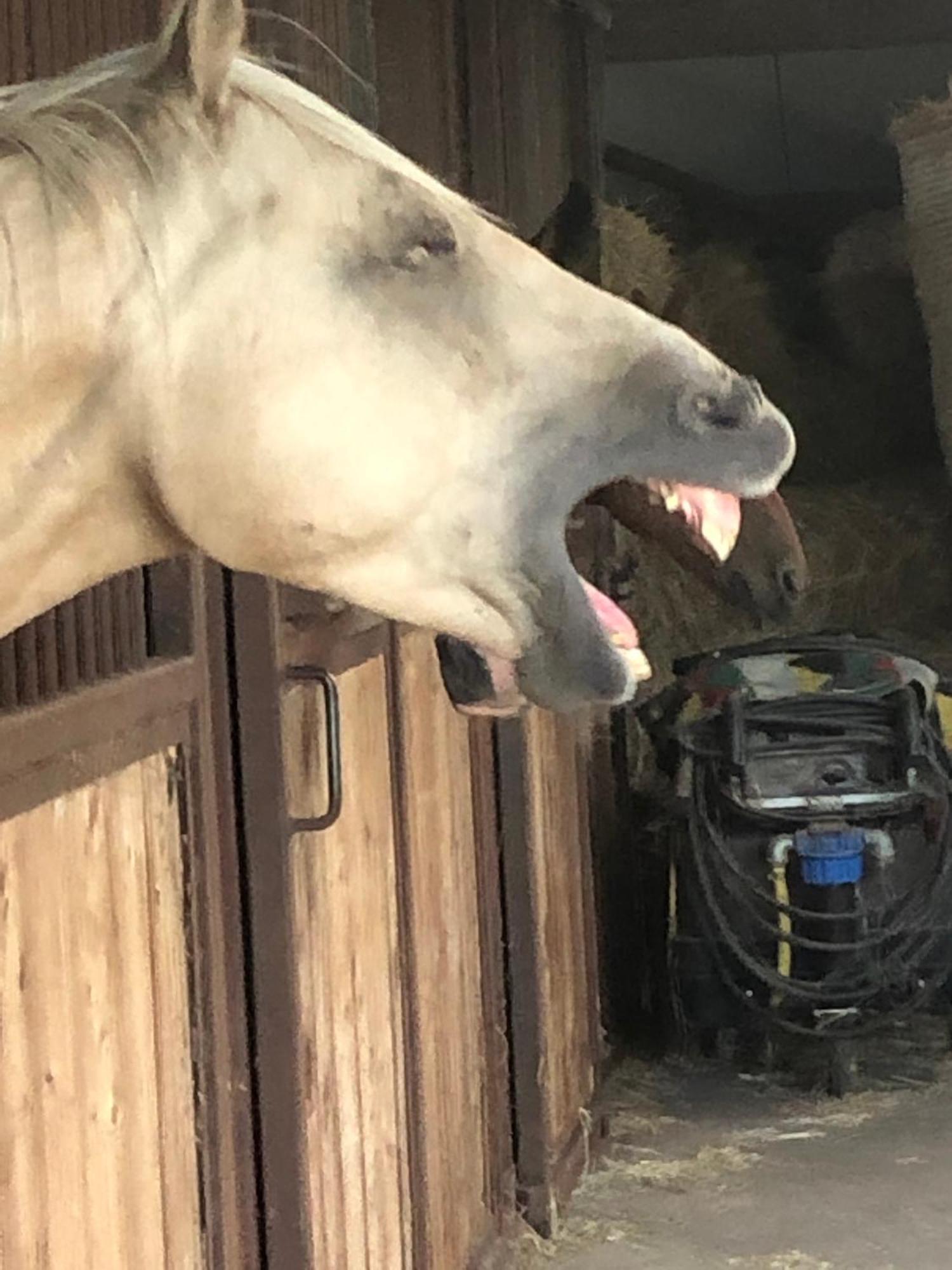 Boeren Biezen Bed Landelijk Villa Dış mekan fotoğraf